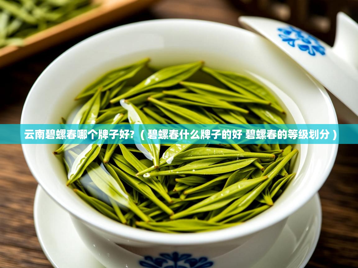 云南碧螺春哪个牌子好?  ( 碧螺春什么牌子的好 碧螺春的等级划分 )  云南碧螺春哪个牌子好?  ( 碧螺春什么牌子的好 碧螺春的等级划分 )