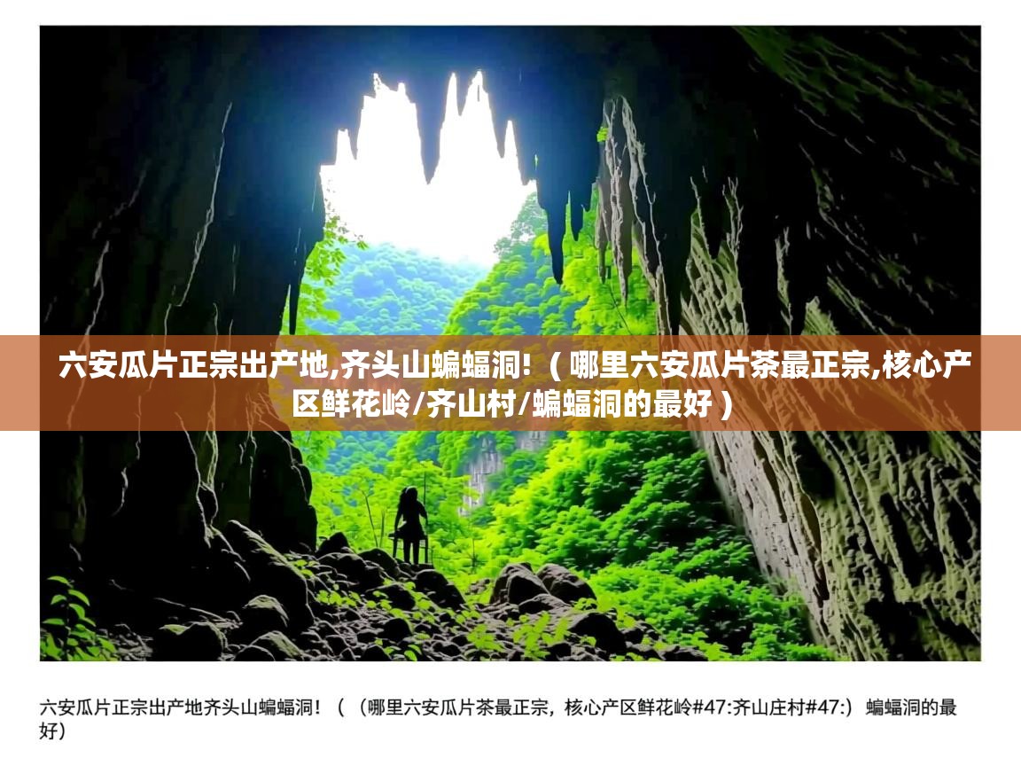 六安瓜片正宗出产地,齐头山蝙蝠洞!  ( 哪里六安瓜片茶最正宗,核心产区鲜花岭/齐山村/蝙蝠洞的最好 )  六安瓜片正宗出产地,齐头山蝙蝠洞!  ( 哪里六安瓜片茶最正宗,核心产区鲜花岭/齐山村/蝙蝠洞的最好 )