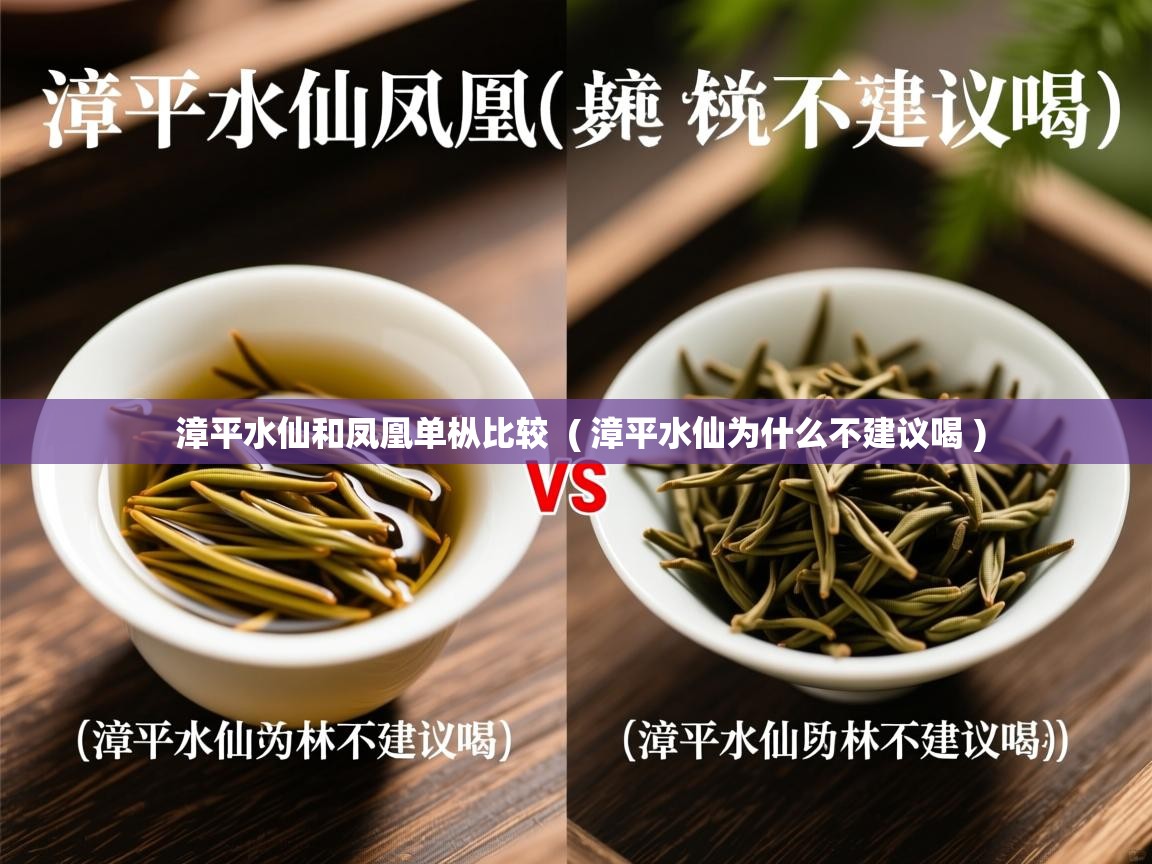  漳平水仙和凤凰单枞比较  ( 漳平水仙为什么不建议喝 )