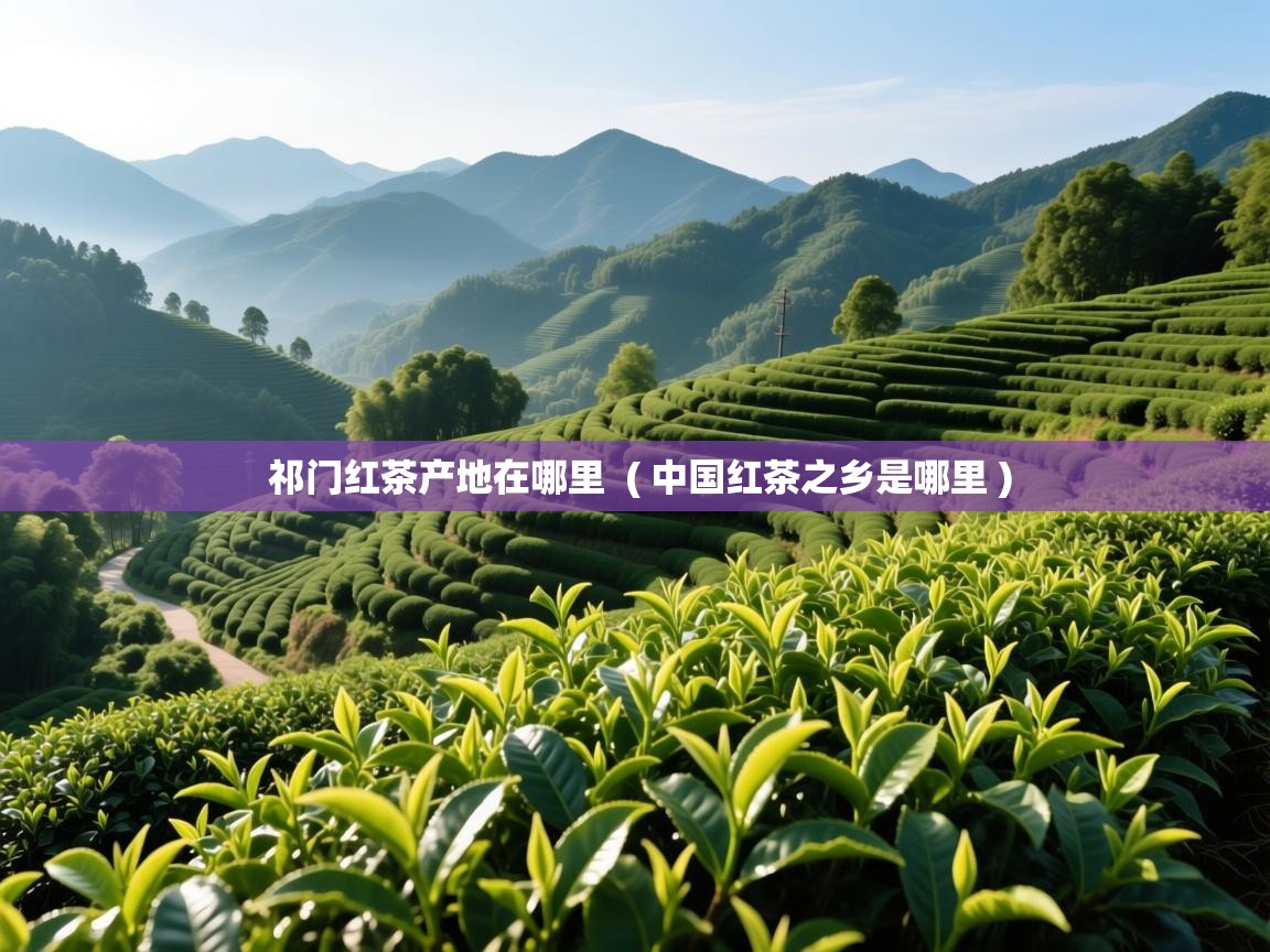  祁门红茶产地在哪里  ( 中国红茶之乡是哪里 )