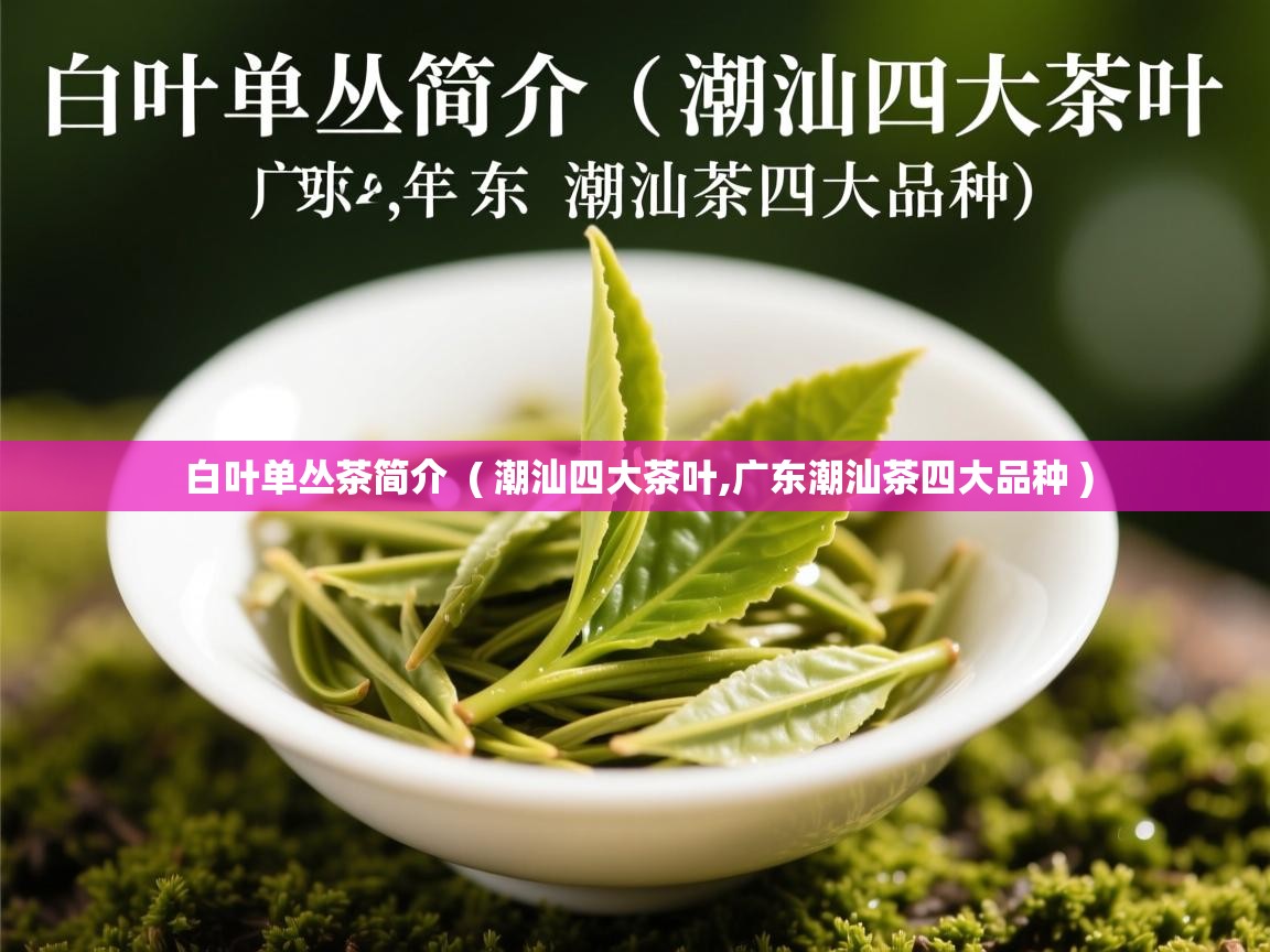  白叶单丛茶简介  ( 潮汕四大茶叶,广东潮汕茶四大品种 )