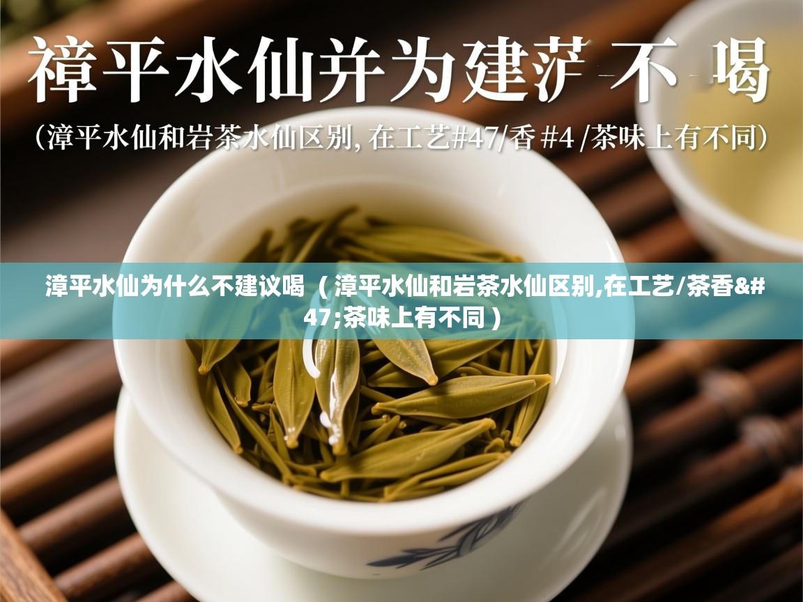 漳平水仙为什么不建议喝  ( 漳平水仙和岩茶水仙区别,在工艺/茶香/茶味上有不同 )  漳平水仙为什么不建议喝  ( 漳平水仙和岩茶水仙区别,在工艺/茶香/茶味上有不同 )