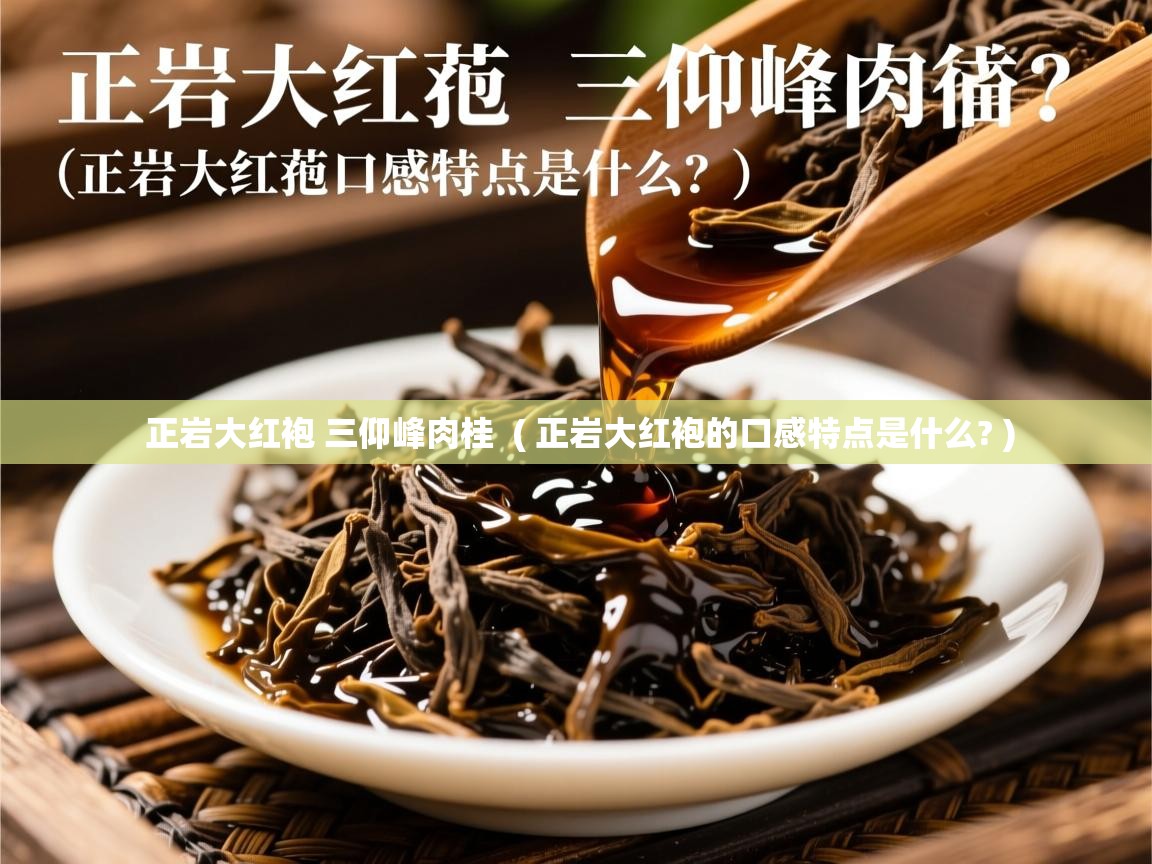 正岩大红袍 三仰峰肉桂  ( 正岩大红袍的口感特点是什么? )  正岩大红袍 三仰峰肉桂  ( 正岩大红袍的口感特点是什么? )