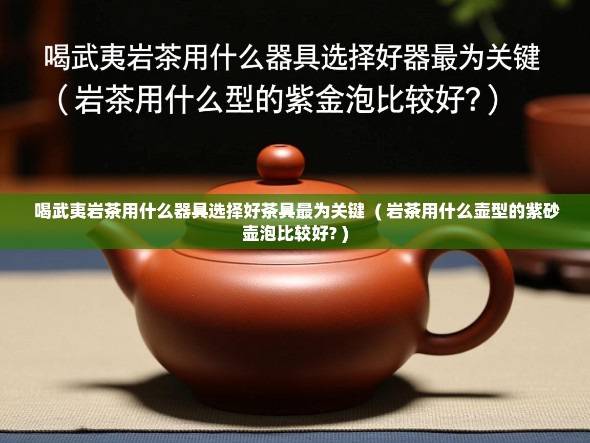 喝武夷岩茶用什么器具选择好茶具最为关键  ( 岩茶用什么壶型的紫砂壶泡比较好? )  喝武夷岩茶用什么器具选择好茶具最为关键  ( 岩茶用什么壶型的紫砂壶泡比较好? )