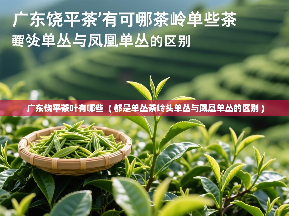  广东饶平茶叶有哪些  ( 都是单丛茶岭头单丛与凤凰单丛的区别 )