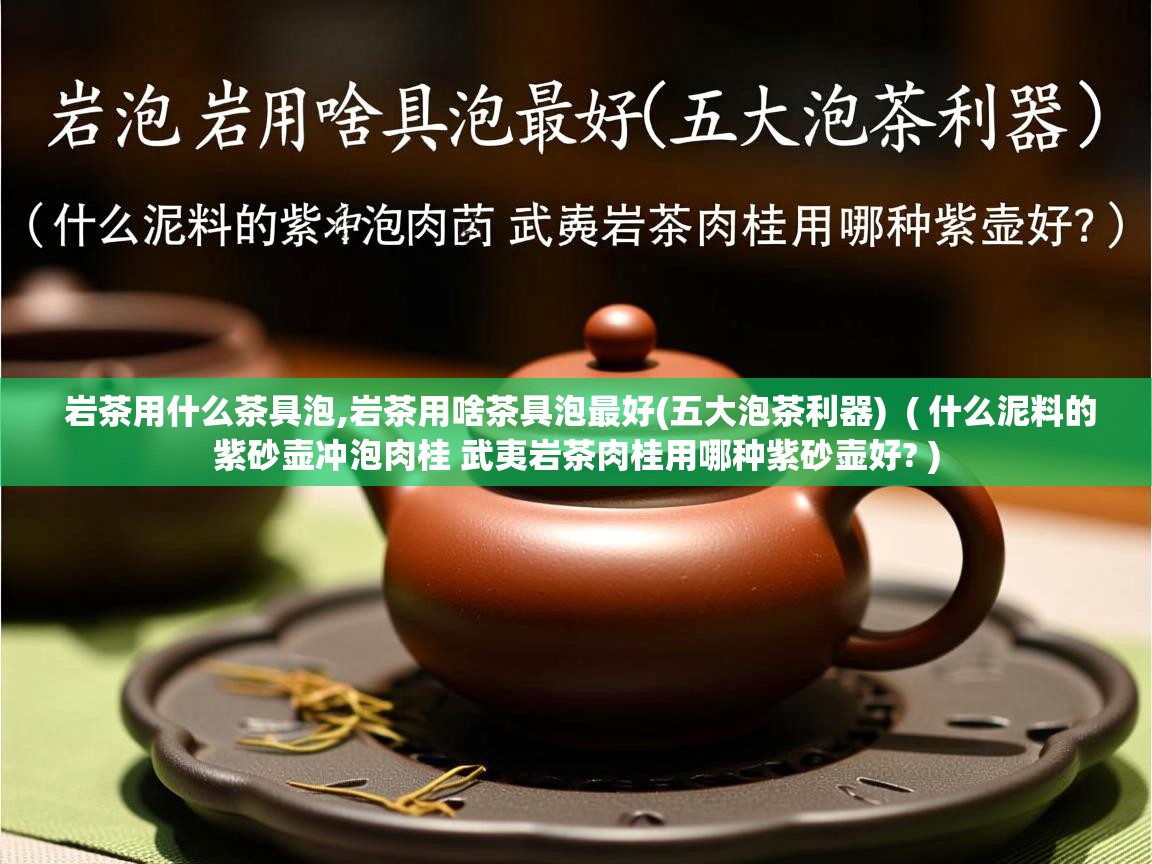 岩茶用什么茶具泡,岩茶用啥茶具泡最好(五大泡茶利器)  ( 什么泥料的紫砂壶冲泡肉桂 武夷岩茶肉桂用哪种紫砂壶好? )  岩茶用什么茶具泡,岩茶用啥茶具泡最好(五大泡茶利器)  ( 什么泥料的紫砂壶冲泡肉桂 武夷岩茶肉桂用哪种紫砂壶好? )