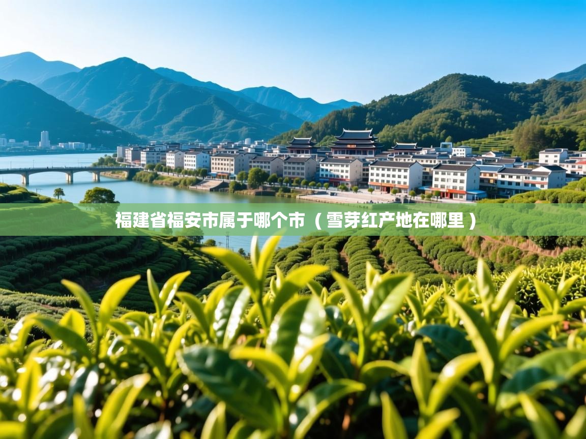 福建省福安市属于哪个市  ( 雪芽红产地在哪里 )  福建省福安市属于哪个市  ( 雪芽红产地在哪里 )
