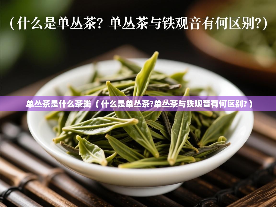 单丛茶是什么茶类  ( 什么是单丛茶?单丛茶与铁观音有何区别? )  单丛茶是什么茶类  ( 什么是单丛茶?单丛茶与铁观音有何区别? )