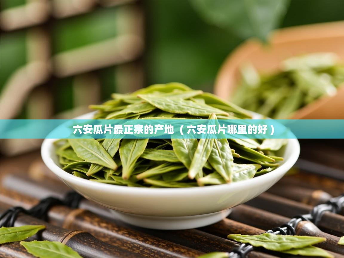 六安瓜片最正宗的产地  ( 六安瓜片哪里的好 )  六安瓜片最正宗的产地  ( 六安瓜片哪里的好 )