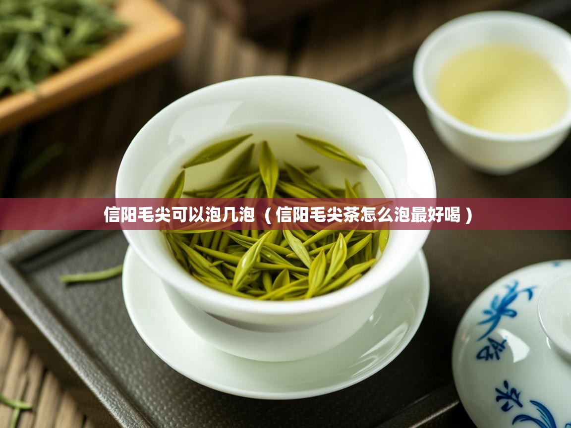 信阳毛尖可以泡几泡  ( 信阳毛尖茶怎么泡最好喝 )  信阳毛尖可以泡几泡  ( 信阳毛尖茶怎么泡最好喝 )