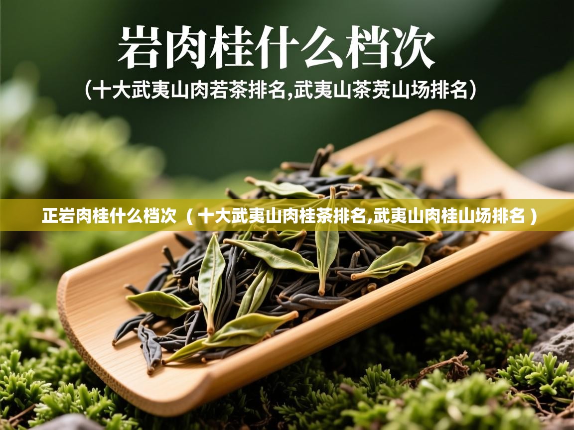  正岩肉桂什么档次  ( 十大武夷山肉桂茶排名,武夷山肉桂山场排名 )
