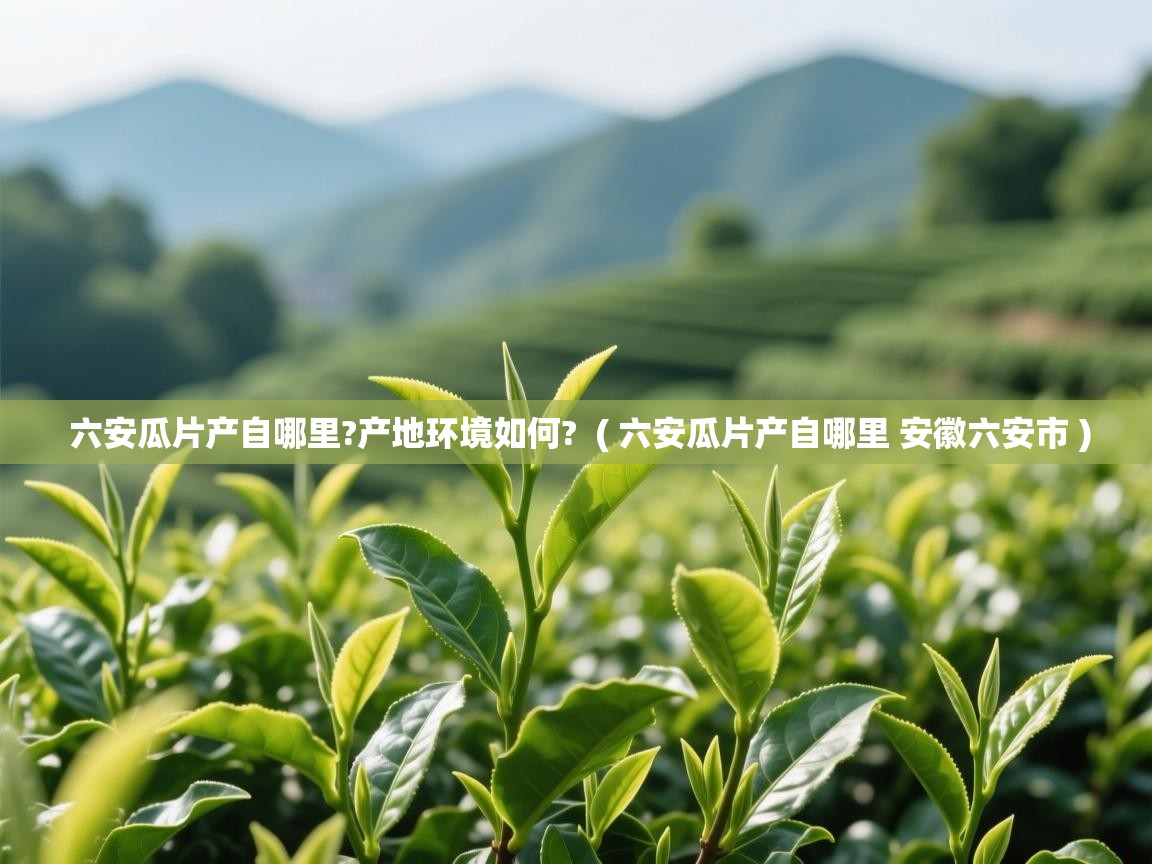 六安瓜片产自哪里?产地环境如何?  ( 六安瓜片产自哪里 安徽六安市 )  六安瓜片产自哪里?产地环境如何?  ( 六安瓜片产自哪里 安徽六安市 )