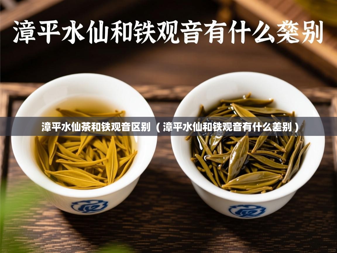 漳平水仙茶和铁观音区别  ( 漳平水仙和铁观音有什么差别 )  漳平水仙茶和铁观音区别  ( 漳平水仙和铁观音有什么差别 )