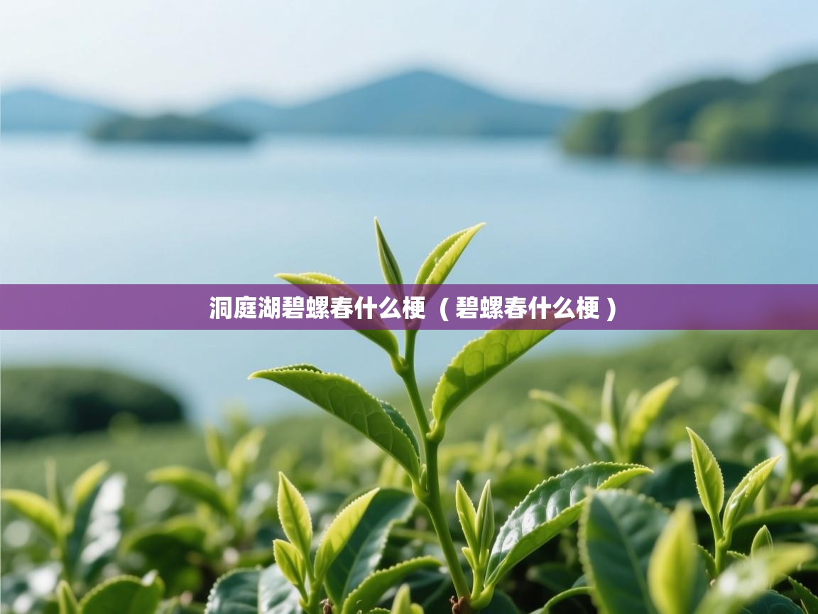 洞庭湖碧螺春什么梗  ( 碧螺春什么梗 )  洞庭湖碧螺春什么梗  ( 碧螺春什么梗 )