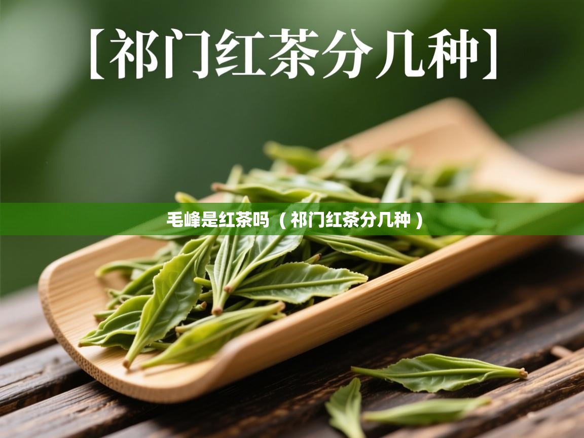 毛峰是红茶吗  ( 祁门红茶分几种 )  毛峰是红茶吗  ( 祁门红茶分几种 )
