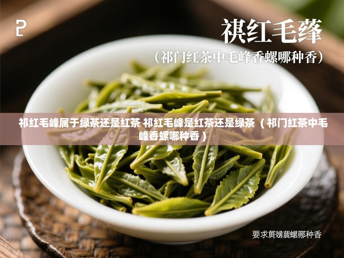  祁红毛峰属于绿茶还是红茶 祁红毛峰是红茶还是绿茶  ( 祁门红茶中毛峰香螺哪种香 )