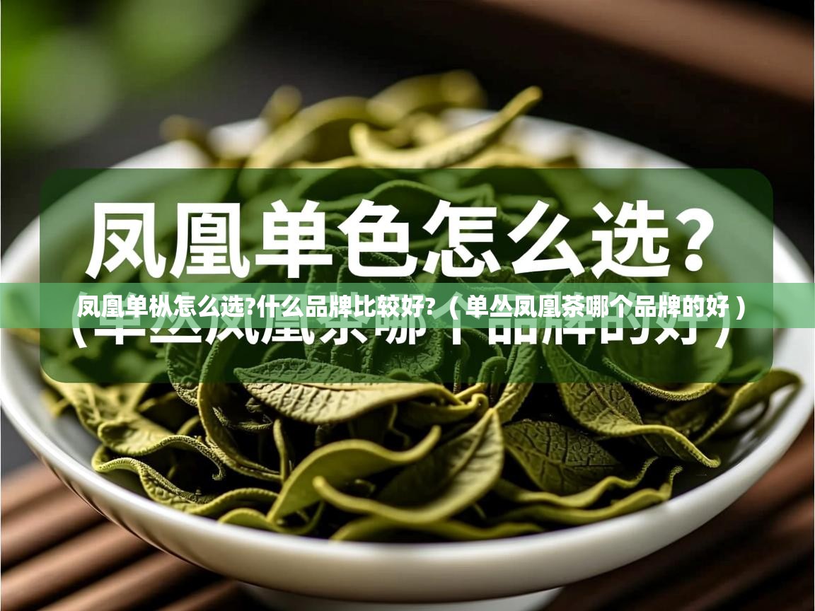  凤凰单枞怎么选?什么品牌比较好?  ( 单丛凤凰茶哪个品牌的好 )