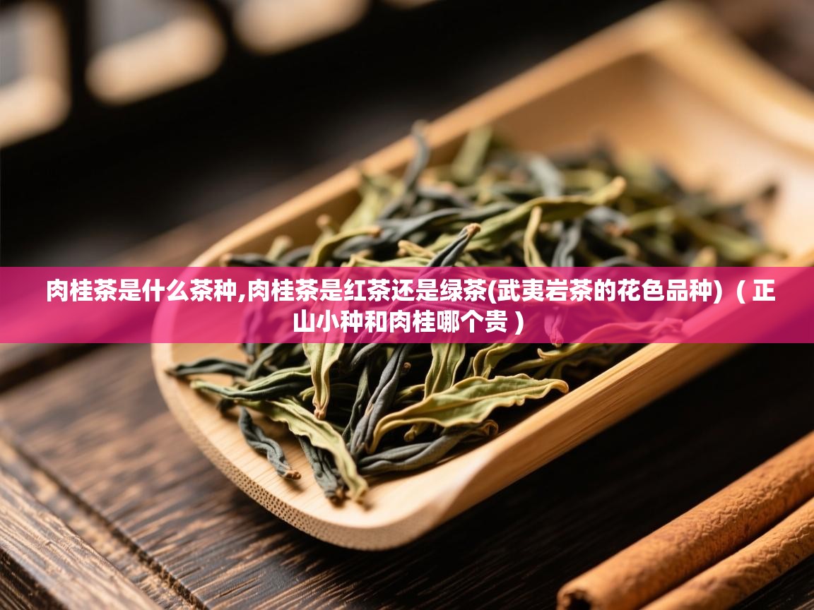  肉桂茶是什么茶种,肉桂茶是红茶还是绿茶(武夷岩茶的花色品种)  ( 正山小种和肉桂哪个贵 )