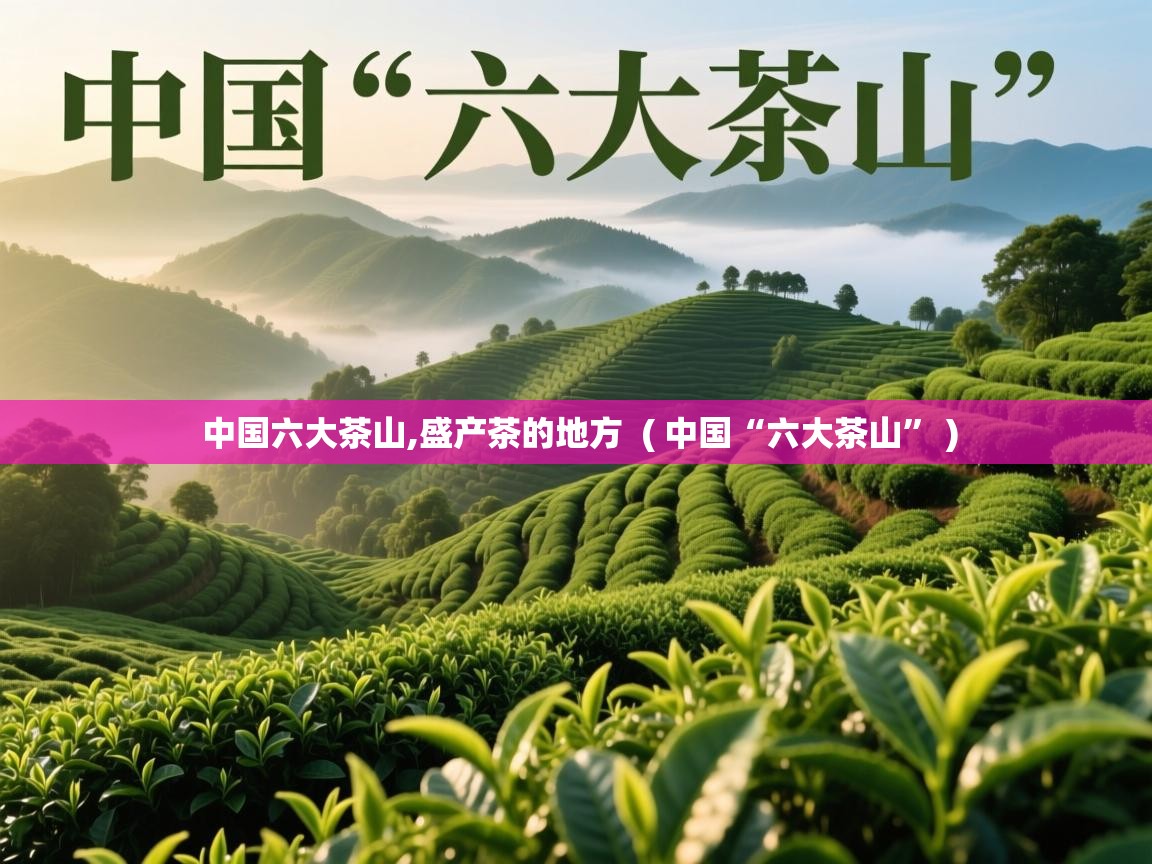 中国六大茶山,盛产茶的地方  ( 中国“六大茶山” )