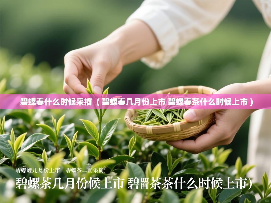  碧螺春什么时候采摘  ( 碧螺春几月份上市 碧螺春茶什么时候上市 )