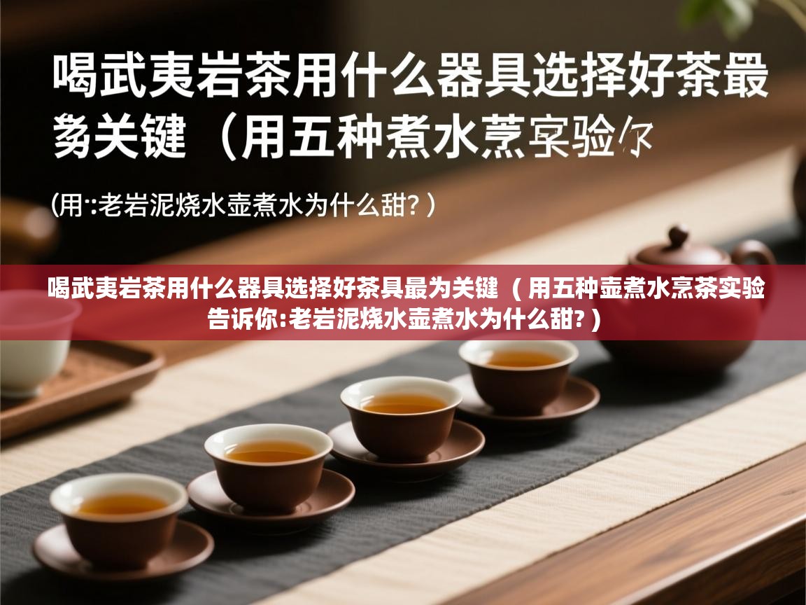  喝武夷岩茶用什么器具选择好茶具最为关键  ( 用五种壶煮水烹茶实验告诉你:老岩泥烧水壶煮水为什么甜? )