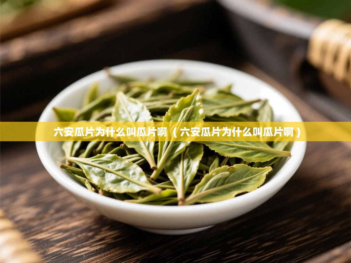 六安瓜片为什么叫瓜片啊  ( 六安瓜片为什么叫瓜片啊 )  六安瓜片为什么叫瓜片啊  ( 六安瓜片为什么叫瓜片啊 )