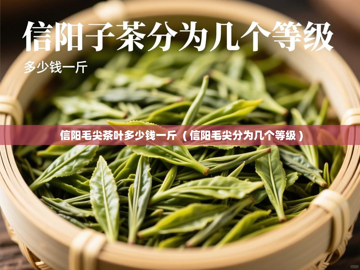 信阳毛尖茶叶多少钱一斤  ( 信阳毛尖分为几个等级 )  信阳毛尖茶叶多少钱一斤  ( 信阳毛尖分为几个等级 )