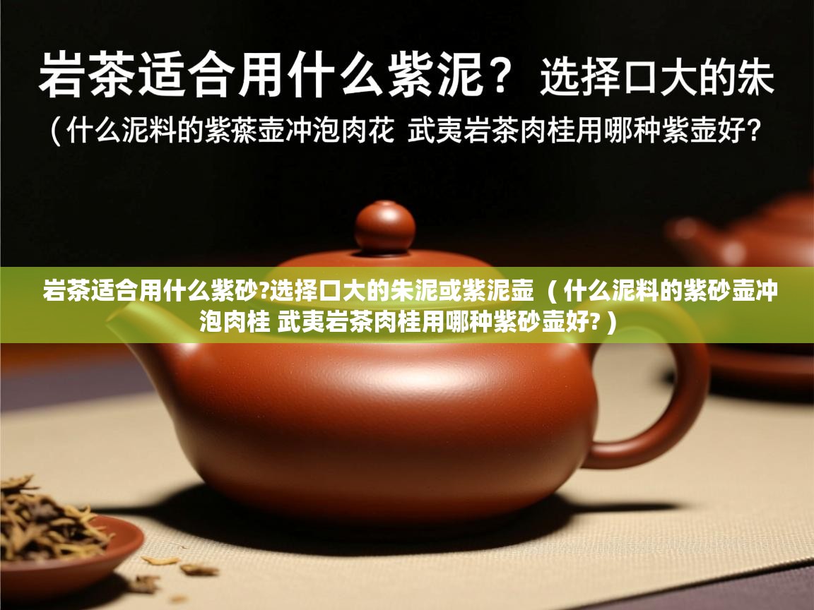  岩茶适合用什么紫砂?选择口大的朱泥或紫泥壶  ( 什么泥料的紫砂壶冲泡肉桂 武夷岩茶肉桂用哪种紫砂壶好? )
