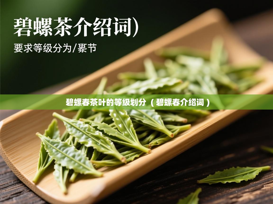 碧螺春茶叶的等级划分  ( 碧螺春介绍词 )  碧螺春茶叶的等级划分  ( 碧螺春介绍词 )
