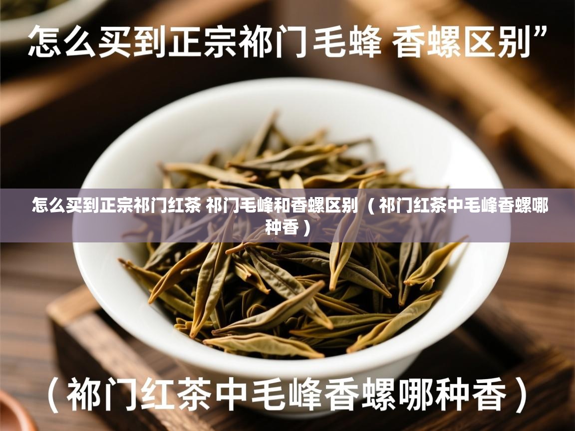  怎么买到正宗祁门红茶 祁门毛峰和香螺区别  ( 祁门红茶中毛峰香螺哪种香 )