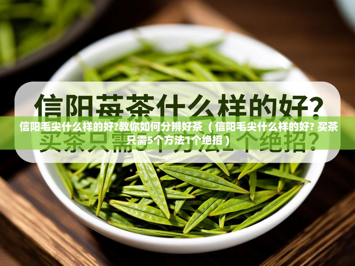  信阳毛尖什么样的好?教你如何分辨好茶  ( 信阳毛尖什么样的好? 买茶只需5个方法1个绝招 )