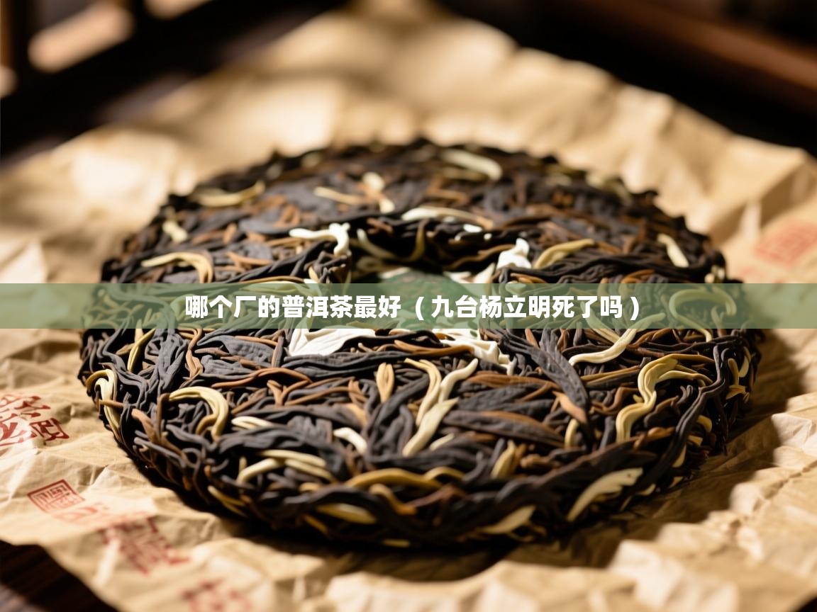  哪个厂的普洱茶最好  ( 九台杨立明死了吗 )