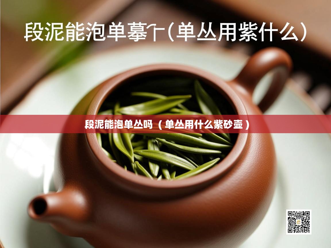  段泥能泡单丛吗  ( 单丛用什么紫砂壶 )