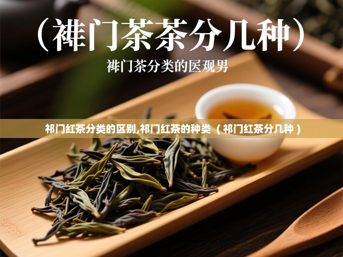  祁门红茶分类的区别,祁门红茶的种类  ( 祁门红茶分几种 )