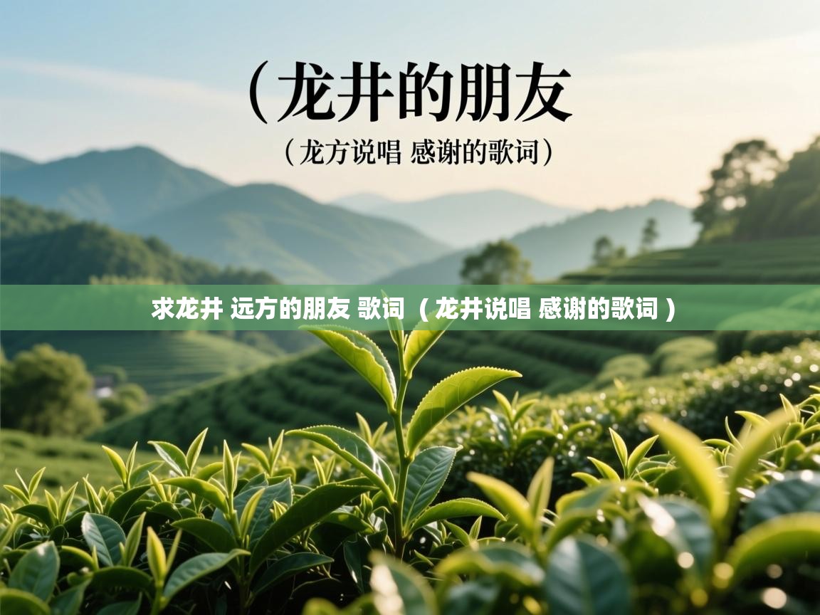  求龙井 远方的朋友 歌词  ( 龙井说唱 感谢的歌词 )
