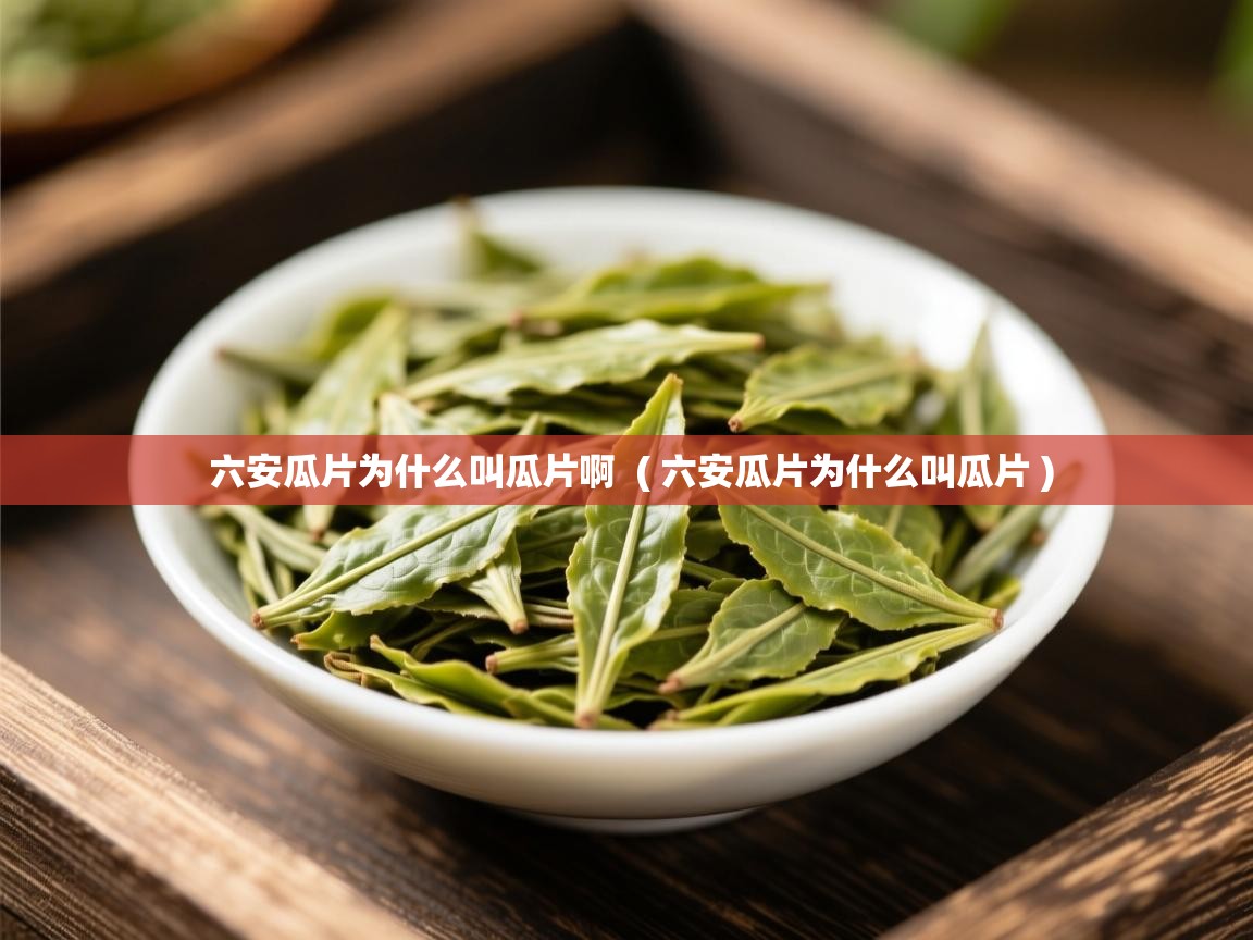  六安瓜片为什么叫瓜片啊  ( 六安瓜片为什么叫瓜片 )