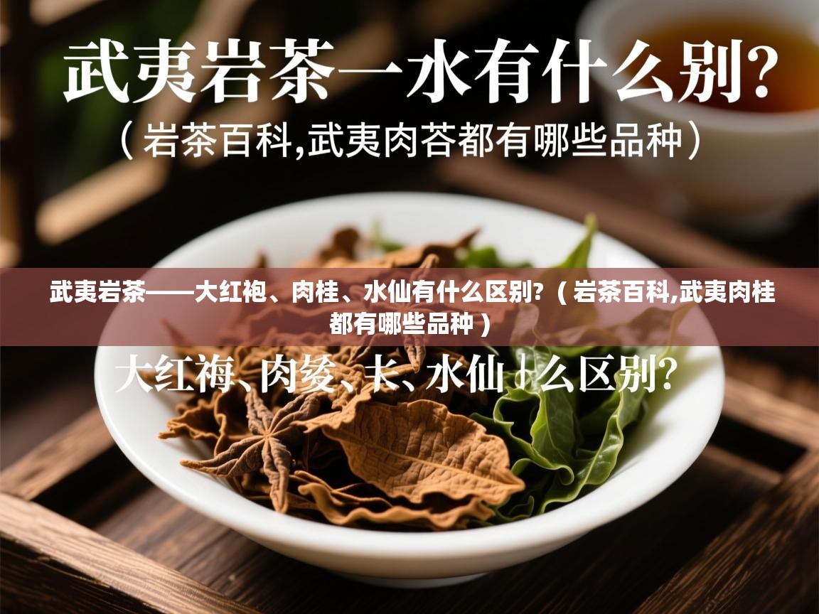  武夷岩茶——大红袍、肉桂、水仙有什么区别?  ( 岩茶百科,武夷肉桂都有哪些品种 )