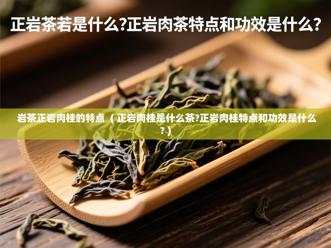  岩茶正岩肉桂的特点  ( 正岩肉桂是什么茶?正岩肉桂特点和功效是什么? )