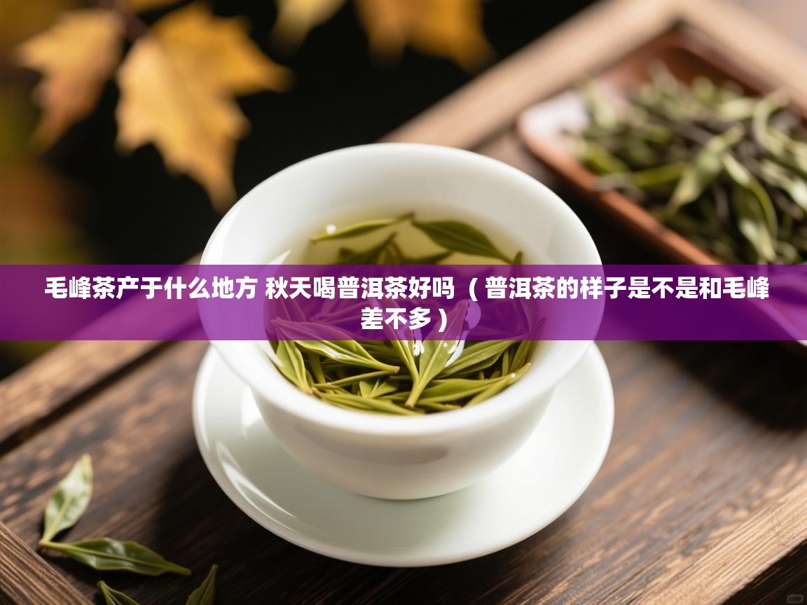 毛峰茶产于什么地方 秋天喝普洱茶好吗  ( 普洱茶的样子是不是和毛峰差不多 )  毛峰茶产于什么地方 秋天喝普洱茶好吗  ( 普洱茶的样子是不是和毛峰差不多 )