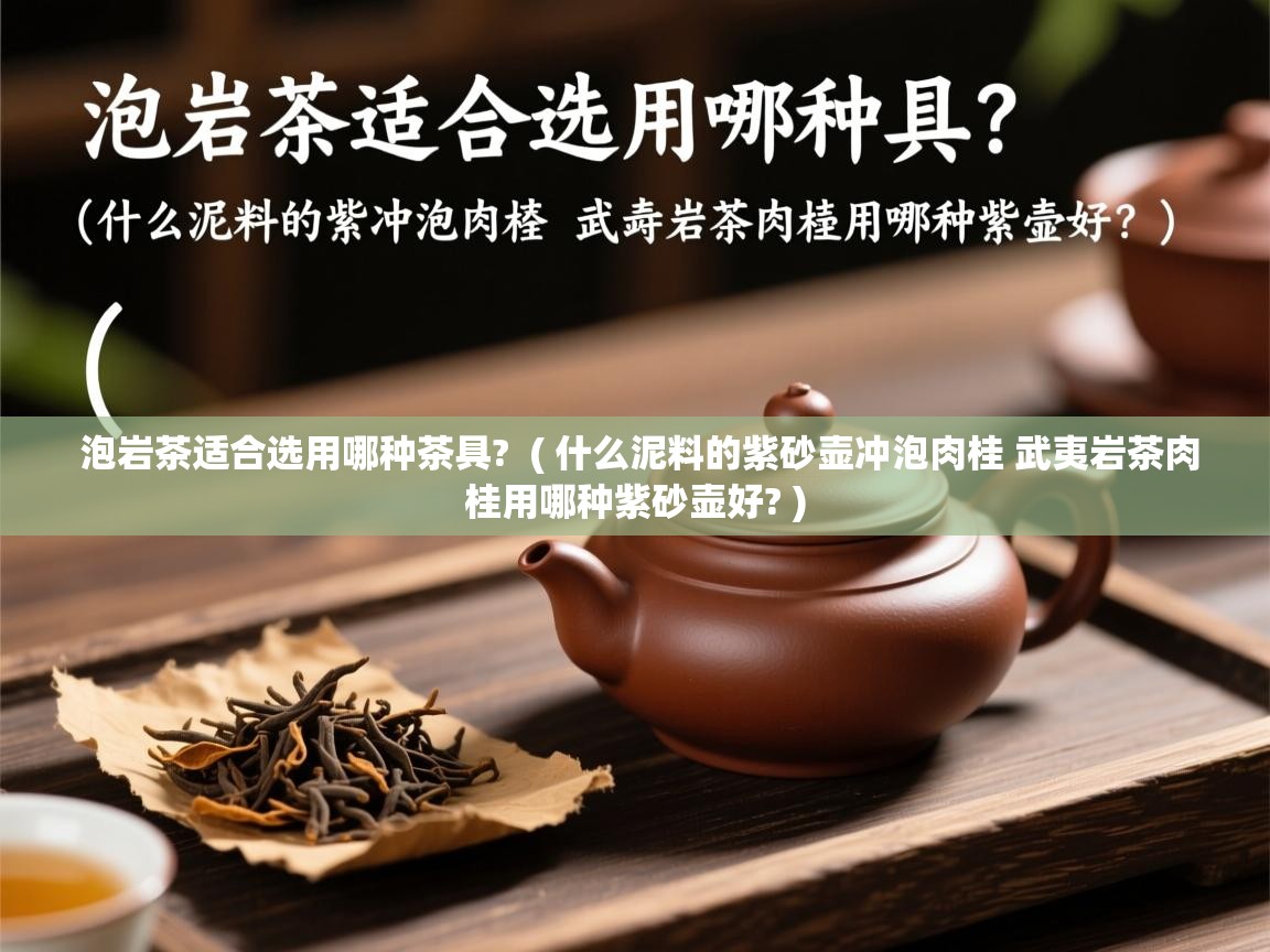  泡岩茶适合选用哪种茶具?  ( 什么泥料的紫砂壶冲泡肉桂 武夷岩茶肉桂用哪种紫砂壶好? )