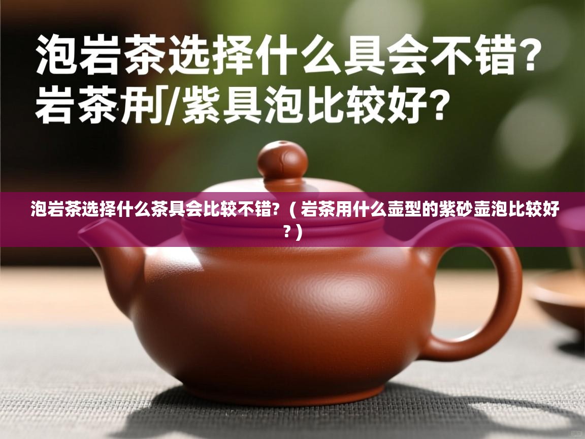  泡岩茶选择什么茶具会比较不错?  ( 岩茶用什么壶型的紫砂壶泡比较好? )