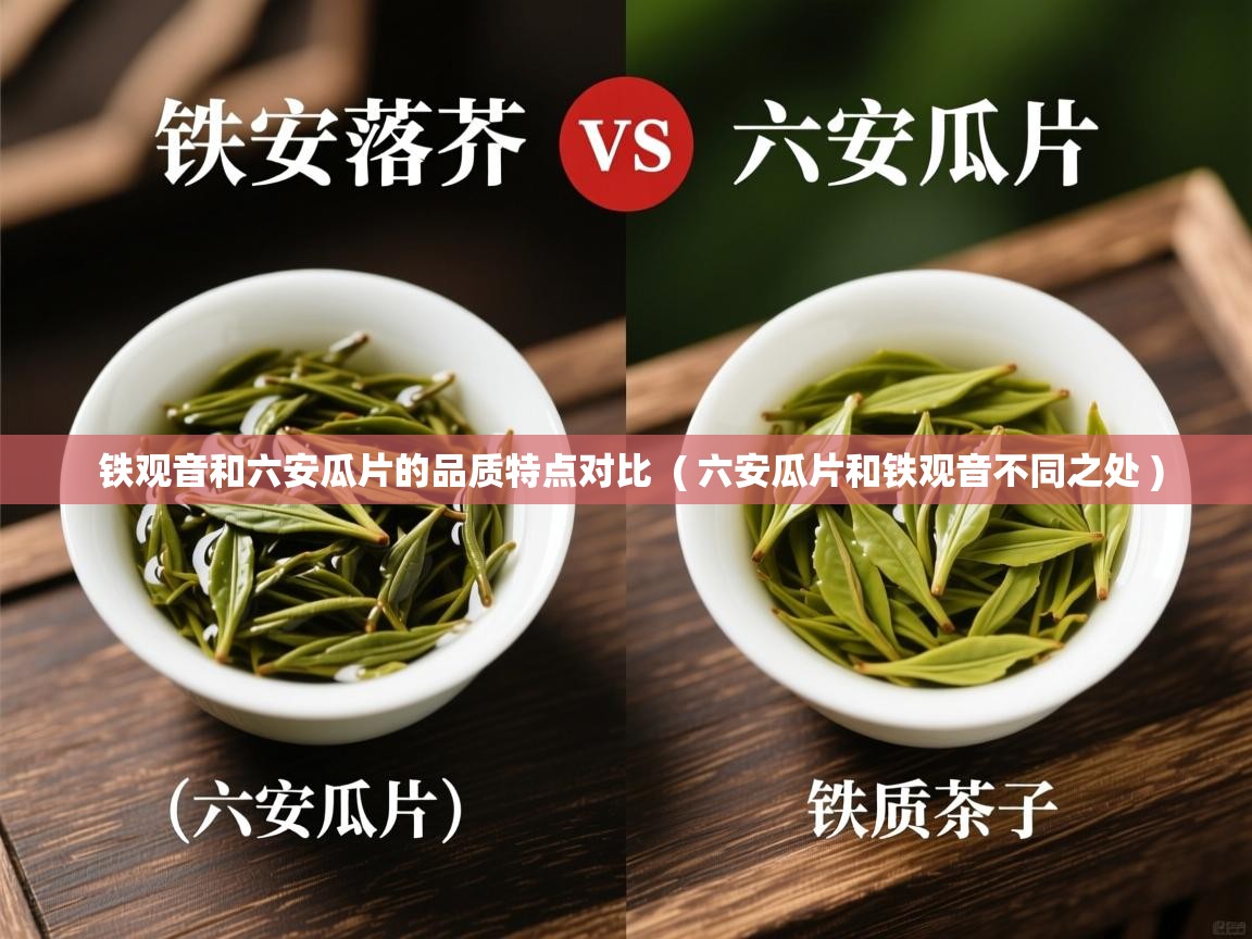 铁观音和六安瓜片的品质特点对比  ( 六安瓜片和铁观音不同之处 )  铁观音和六安瓜片的品质特点对比  ( 六安瓜片和铁观音不同之处 )