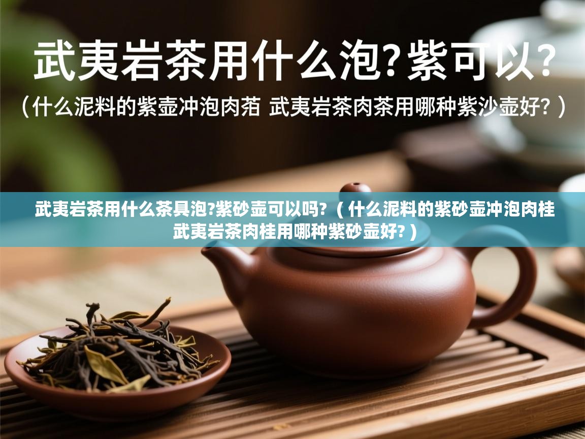 武夷岩茶用什么茶具泡?紫砂壶可以吗?  ( 什么泥料的紫砂壶冲泡肉桂 武夷岩茶肉桂用哪种紫砂壶好? )  武夷岩茶用什么茶具泡?紫砂壶可以吗?  ( 什么泥料的紫砂壶冲泡肉桂 武夷岩茶肉桂用哪种紫砂壶好? )