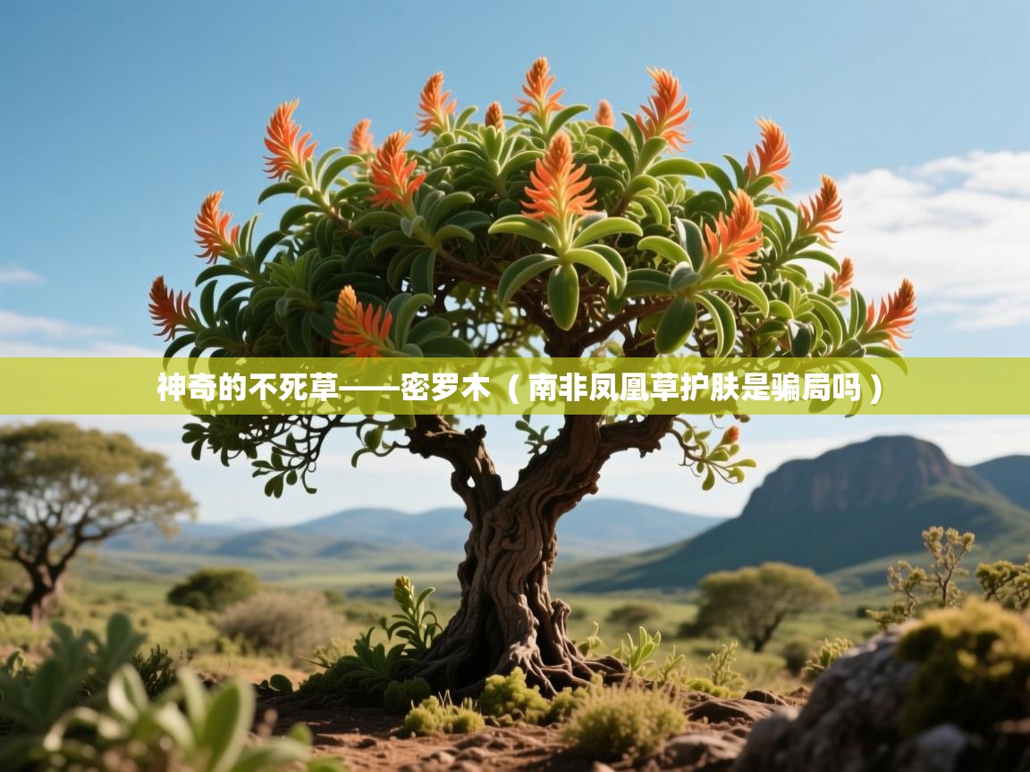  神奇的不死草——密罗木  ( 南非凤凰草护肤是骗局吗 )