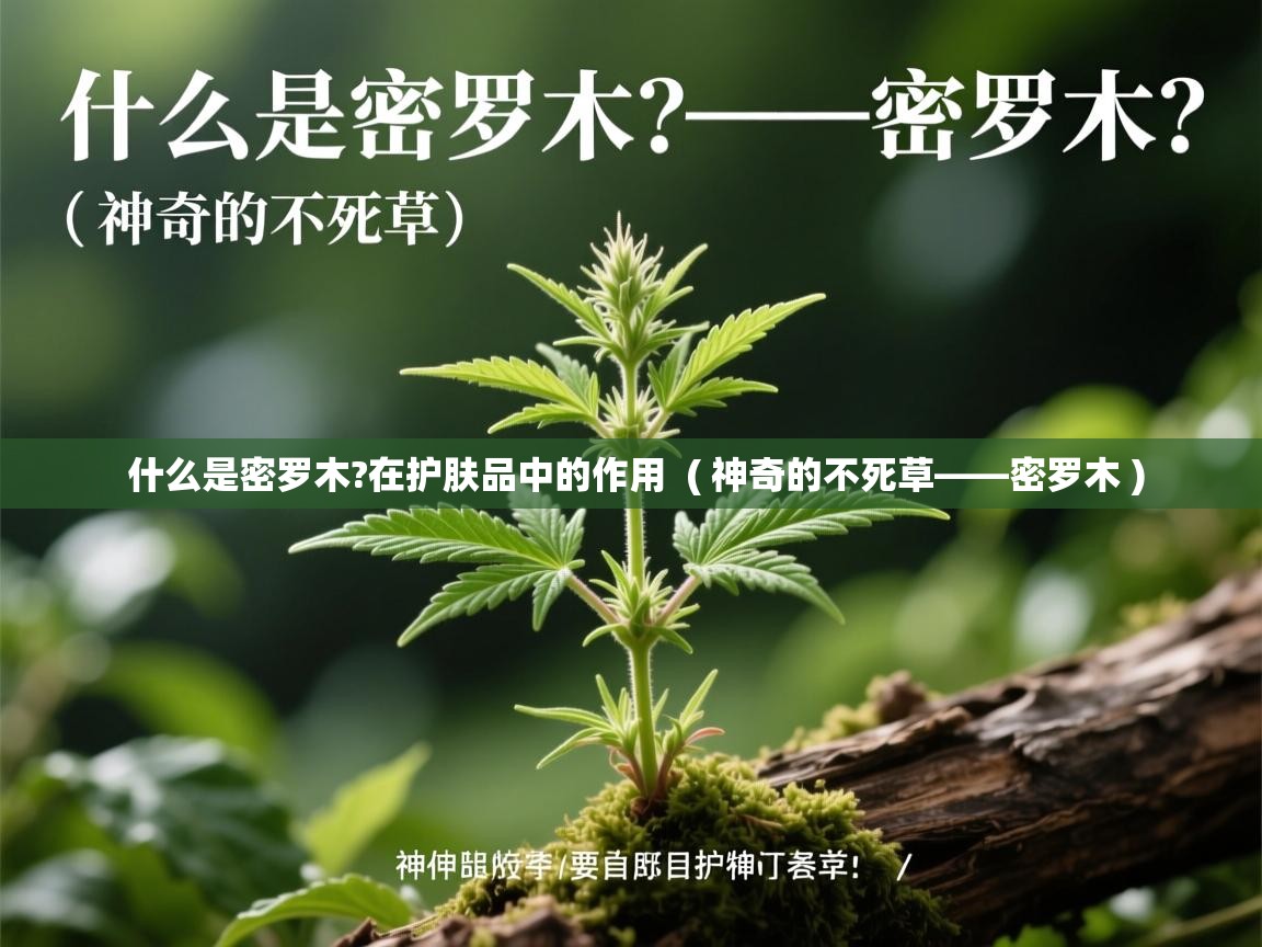 什么是密罗木?在护肤品中的作用  ( 神奇的不死草——密罗木 )  什么是密罗木?在护肤品中的作用  ( 神奇的不死草——密罗木 )