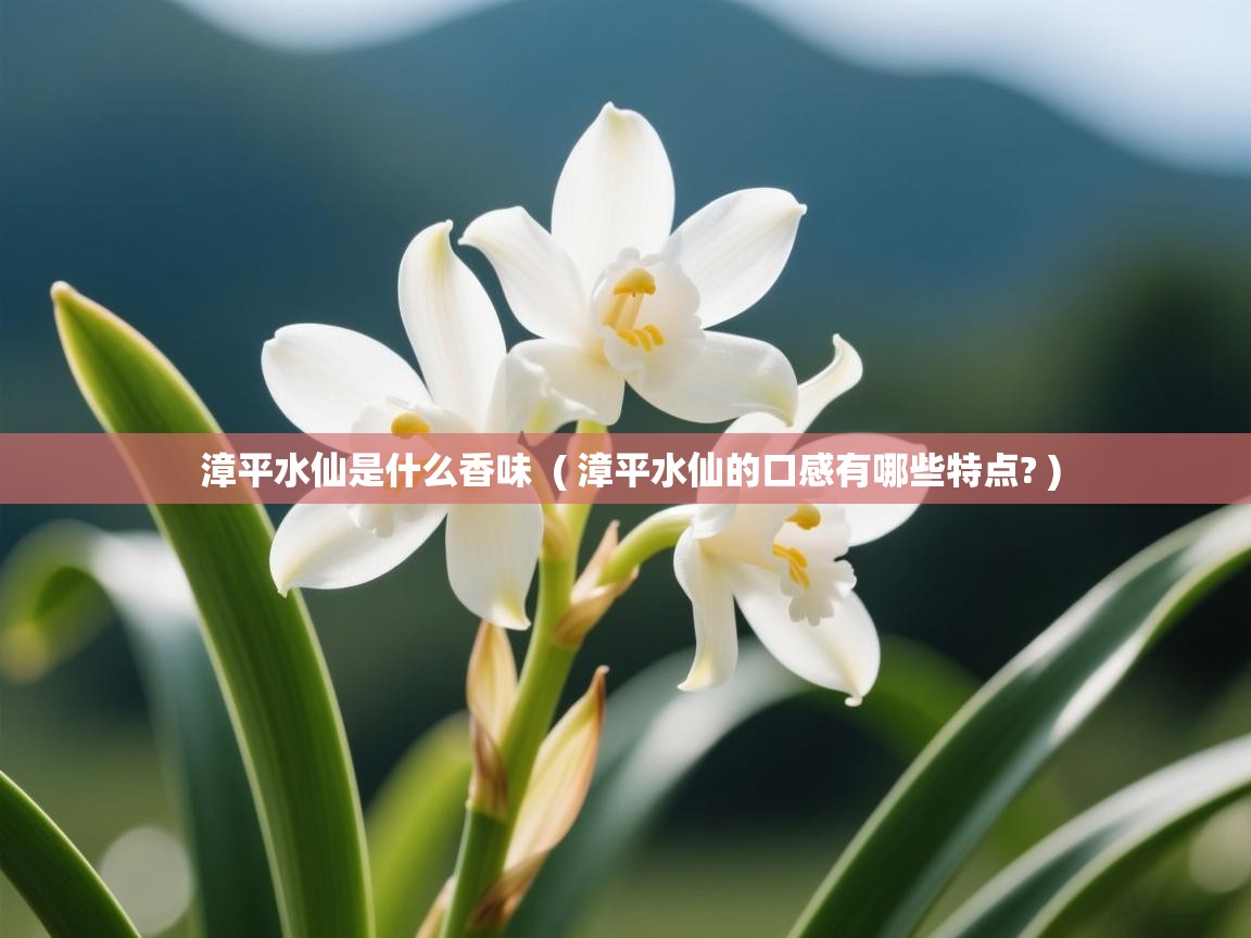  漳平水仙是什么香味  ( 漳平水仙的口感有哪些特点? )