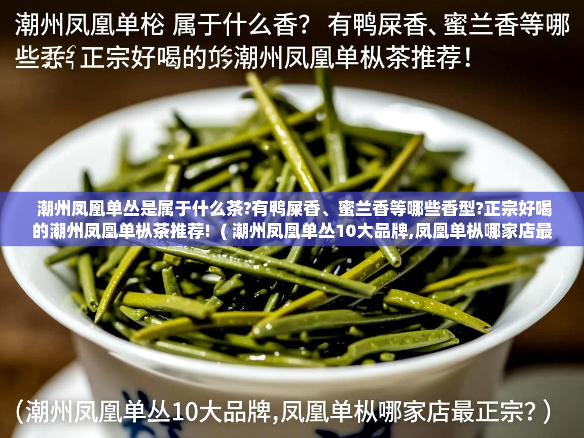  潮州凤凰单丛是属于什么茶?有鸭屎香、蜜兰香等哪些香型?正宗好喝的潮州凤凰单枞茶推荐!  ( 潮州凤凰单丛10大品牌,凤凰单枞哪家店最正宗? )
