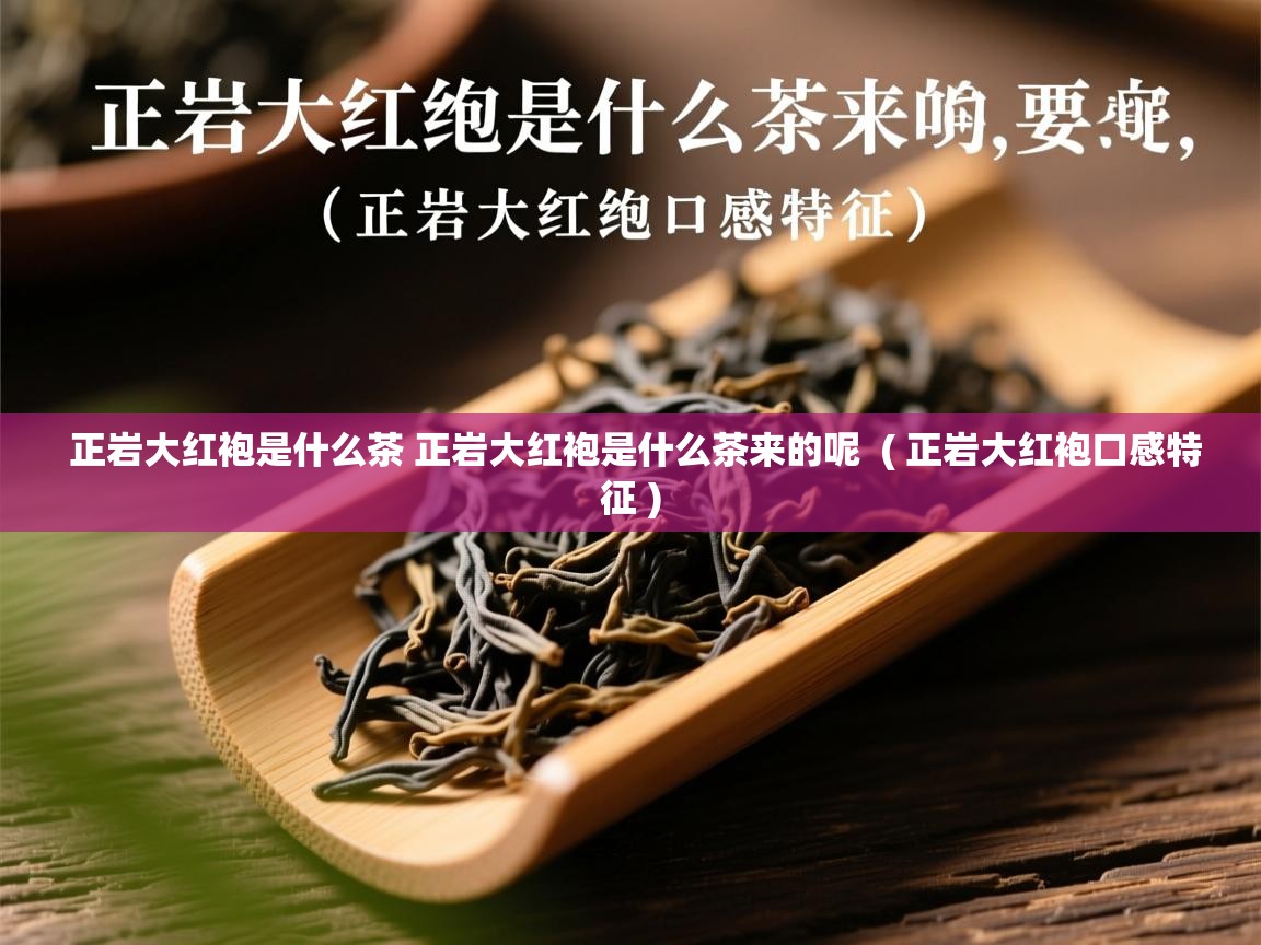 正岩大红袍是什么茶 正岩大红袍是什么茶来的呢  ( 正岩大红袍口感特征 )  正岩大红袍是什么茶 正岩大红袍是什么茶来的呢  ( 正岩大红袍口感特征 )