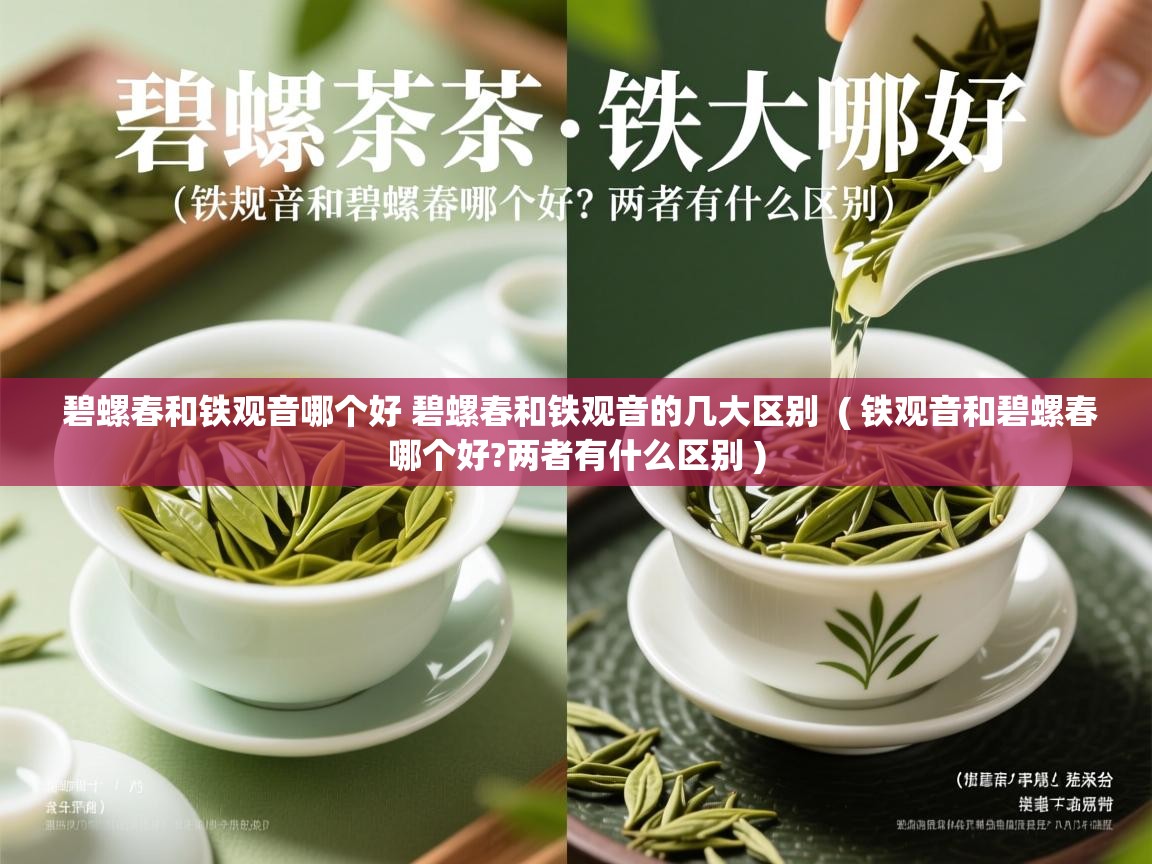  碧螺春和铁观音哪个好 碧螺春和铁观音的几大区别  ( 铁观音和碧螺春哪个好?两者有什么区别 )