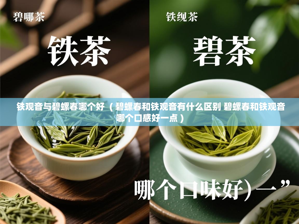  铁观音与碧螺春哪个好  ( 碧螺春和铁观音有什么区别 碧螺春和铁观音哪个口感好一点 )